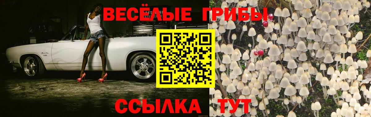 Галлюциногенные грибы Cubensis Псков