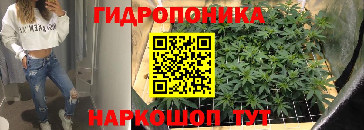 Шишки марихуана гибрид Псков