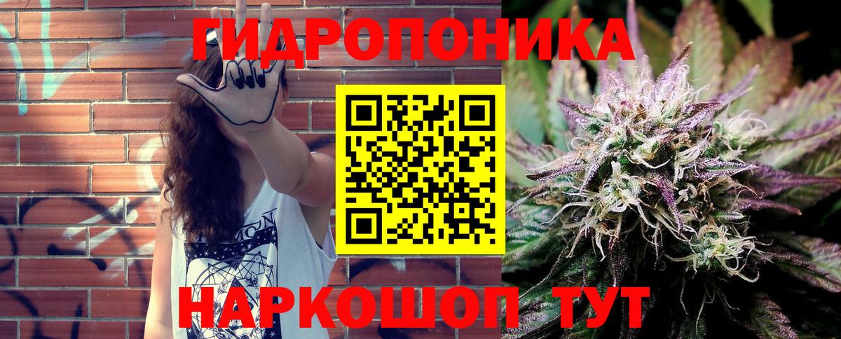 Каннабис SATIVA & INDICA  Бошки марихуана Ganja  МАРИХУАНА семена  Псков  Вход с VPN  Бошки Шишки Amnesia 